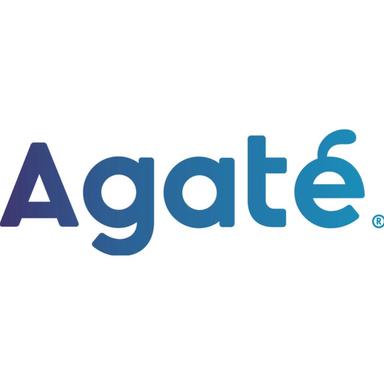 PT Agate International